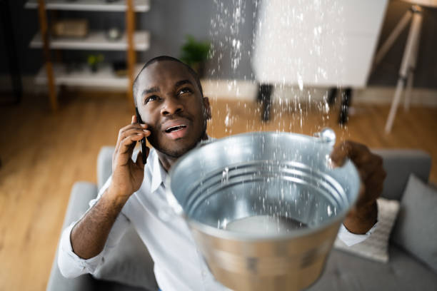 Best Water damage restoration process  in Spring Valley, IL