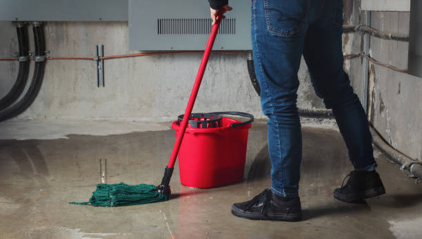 Best Flood damage cleanup  in Spring Valley, IL