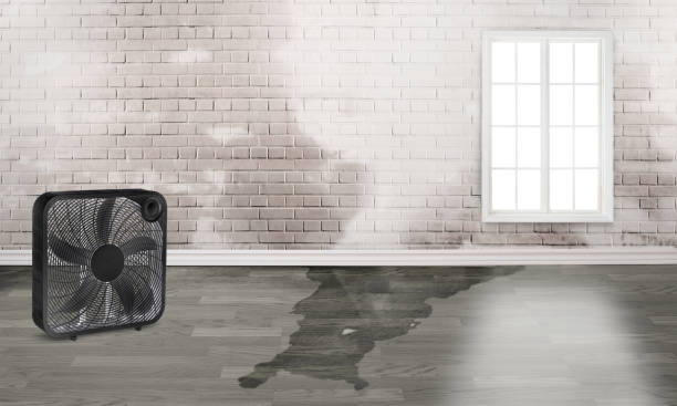  Spring Valley, IL Water damage restoration Pros
