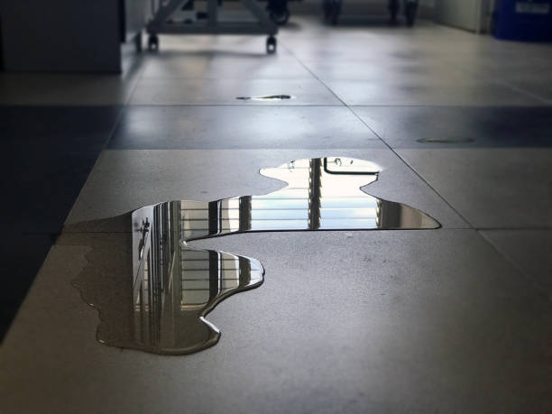 Local water damage restoration in IL