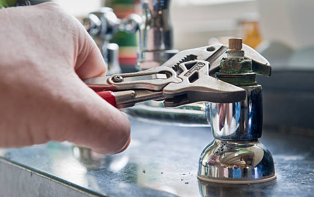 Best Ceiling water damage repair  in Spring Valley, IL