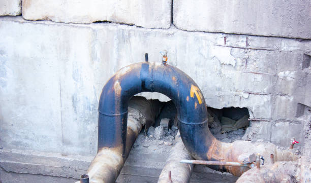 Best Flood restoration services  in Spring Valley, IL