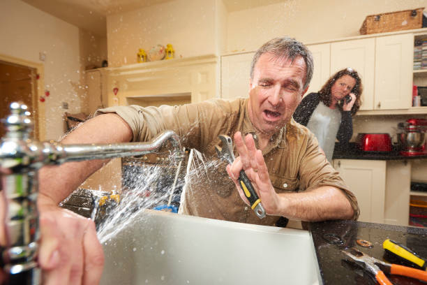 Best Basement water damage restoration  in Spring Valley, IL